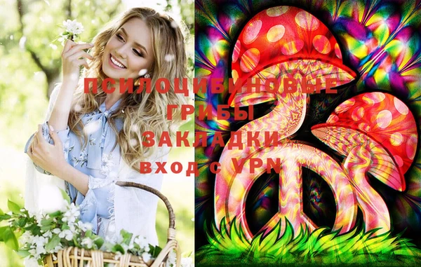 соль курить ск Алексеевка